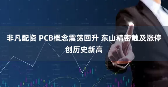 非凡配资 PCB概念震荡回升 东山精密触及涨停创历史新高