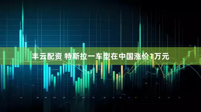 丰云配资 特斯拉一车型在中国涨价1万元