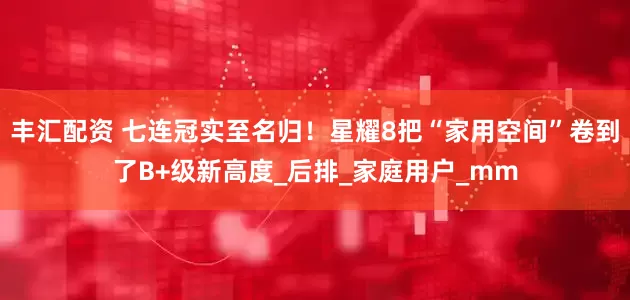 丰汇配资 七连冠实至名归！星耀8把“家用空间”卷到了B+级新高度_后排_家庭用户_mm