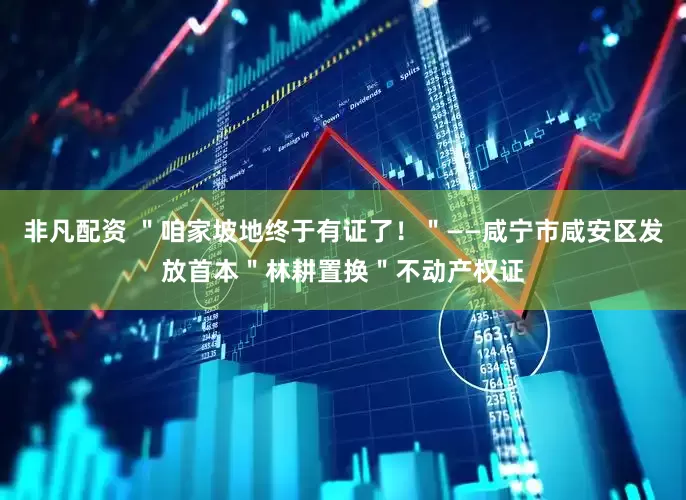 非凡配资 ＂咱家坡地终于有证了！＂——咸宁市咸安区发放首本＂林耕置换＂不动产权证