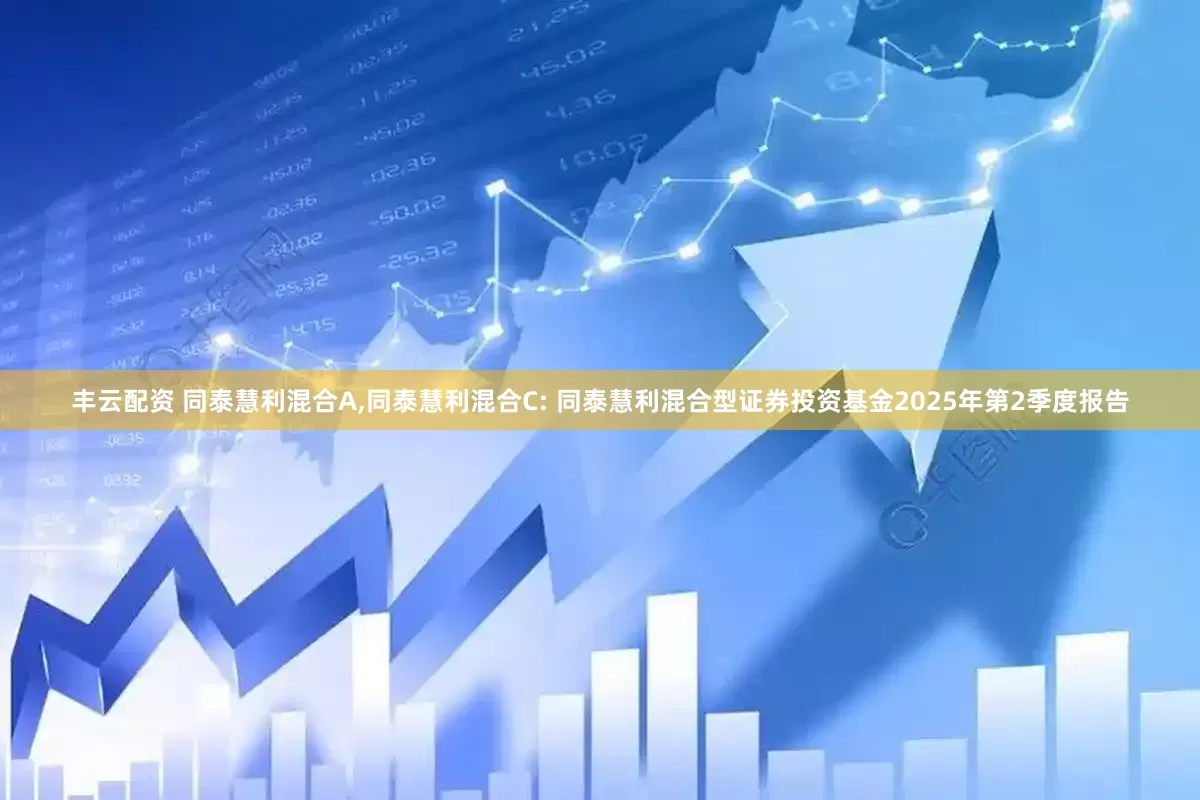 丰云配资 同泰慧利混合A,同泰慧利混合C: 同泰慧利混合型证券投资基金2025年第2季度报告