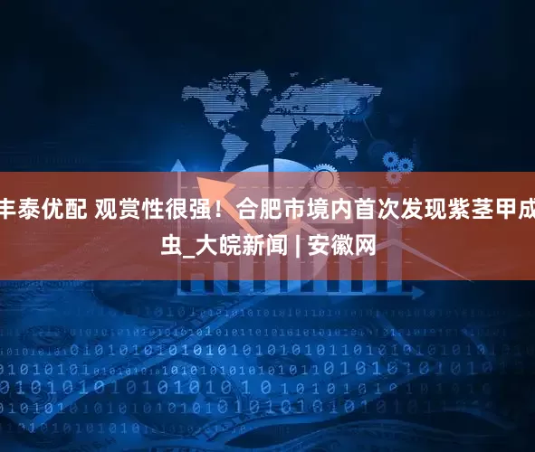 丰泰优配 观赏性很强！合肥市境内首次发现紫茎甲成虫_大皖新闻 | 安徽网