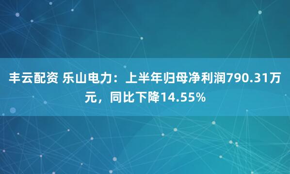 丰云配资 乐山电力：上半年归母净利润790.31万元，同比下降14.55%