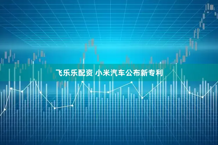 飞乐乐配资 小米汽车公布新专利