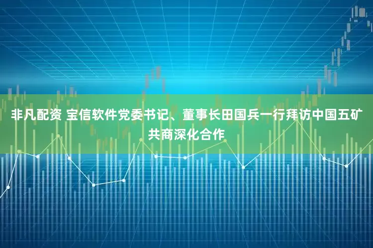 非凡配资 宝信软件党委书记、董事长田国兵一行拜访中国五矿共商深化合作
